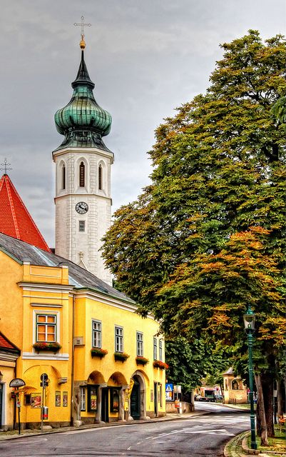 Vienna: Where you least expect it, nestled among forests and&nbsp;vineyards!